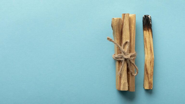 Lee más sobre el artículo Palo Santo