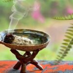 Cómo limpiar con salvia tu casa, oficina o cualquier espacio cerrado