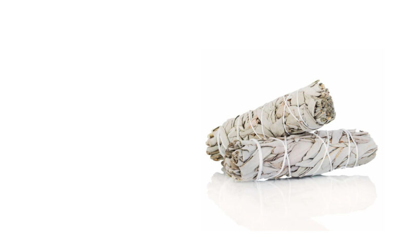 Lee más sobre el artículo Salvia Blanca