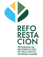 Reforestacion 2